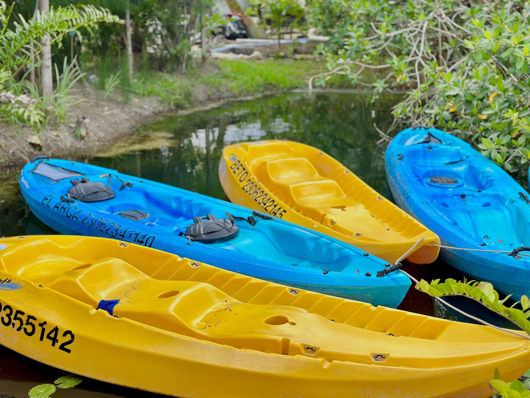 Costa Maya Discovery - los rapidos bacalar